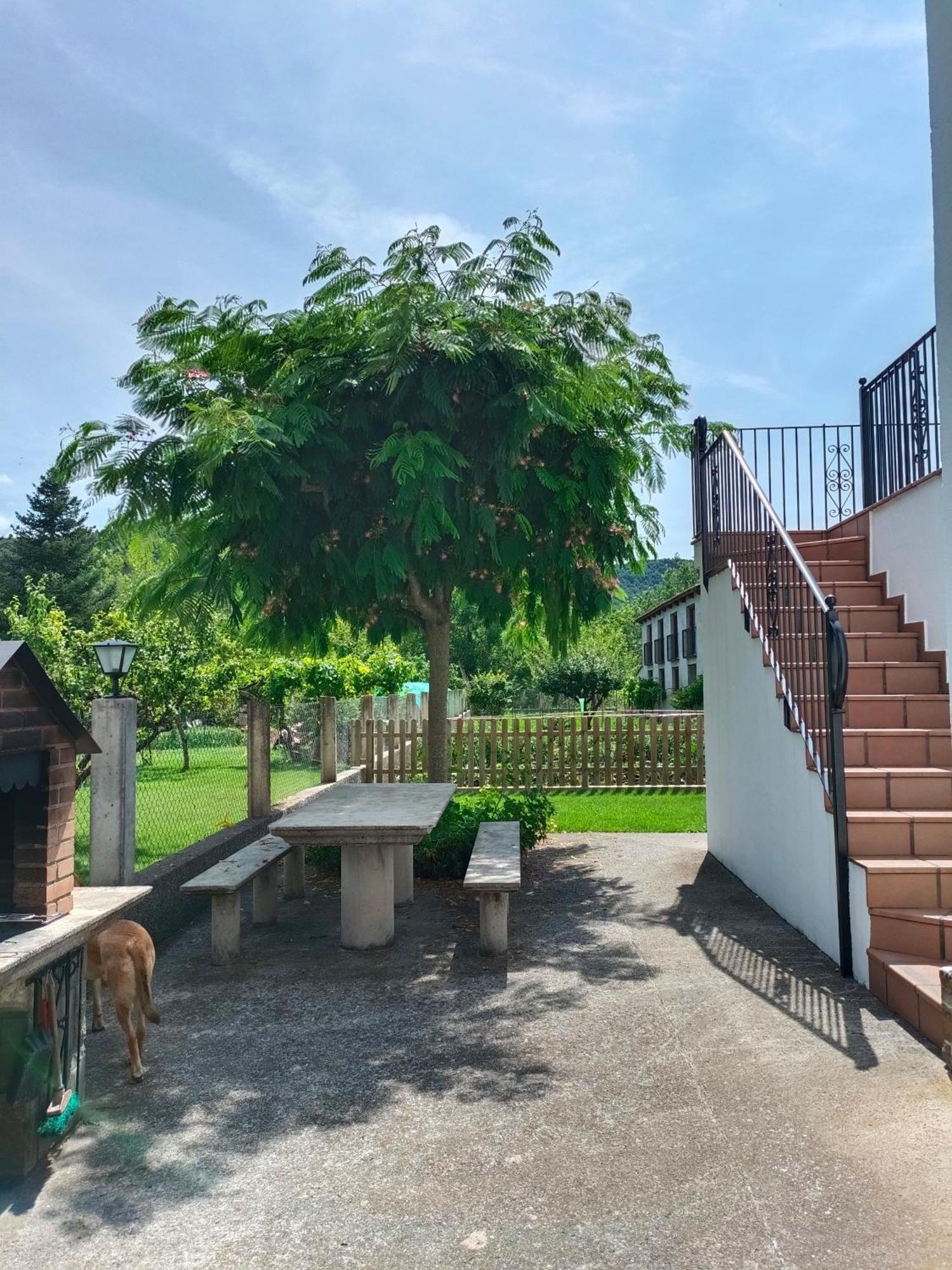 Apartamento Rural Casa Paco Con Jacuzzi Exterior Y Barbacoa Aínsa Екстериор снимка